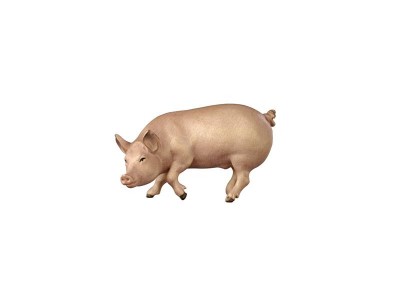 Schwein color, RA